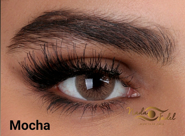 Nada Fedal lenses - Mocha lens - Online Contact lenses  - online lenses